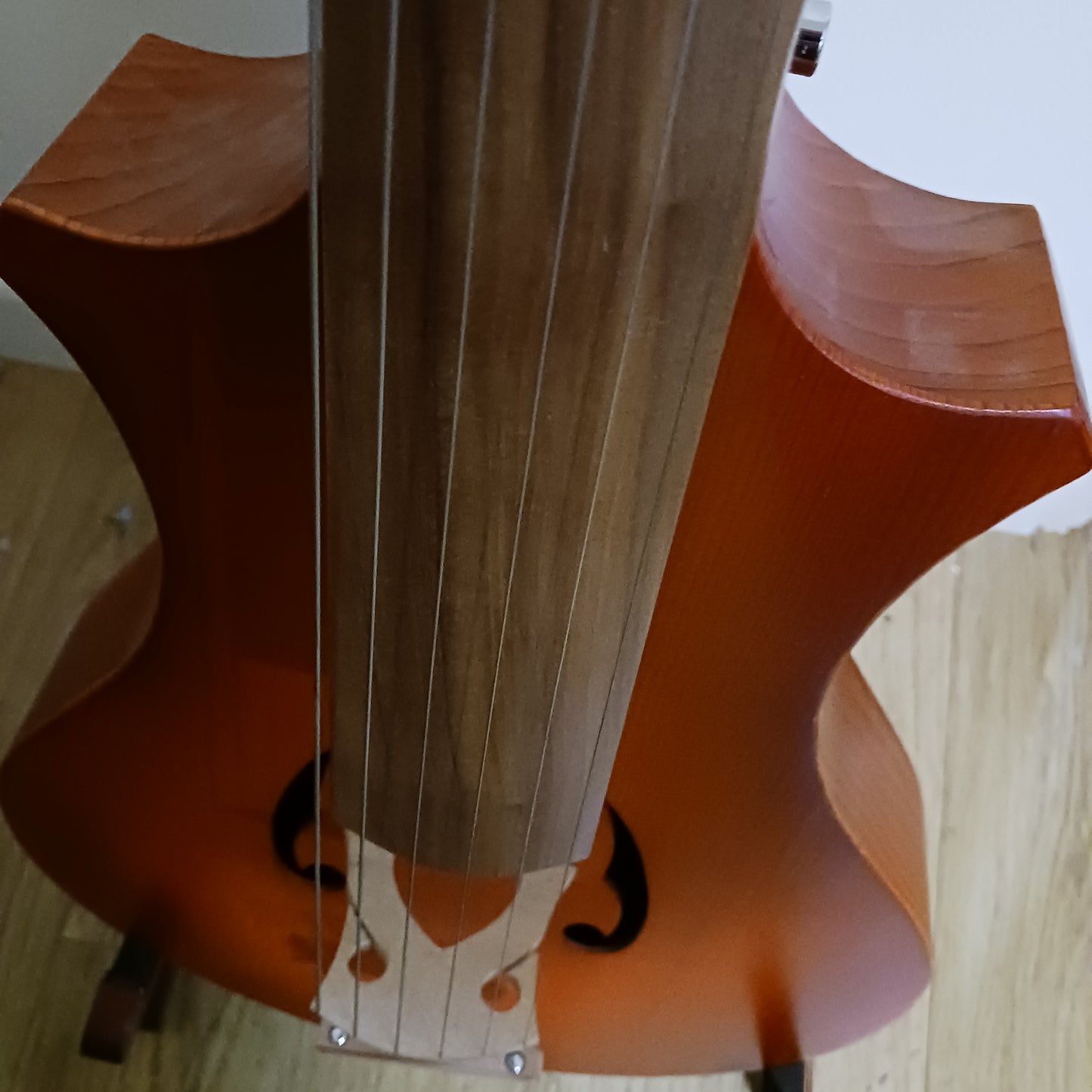 Handmade Guitarviol by Philippe Berne (PREOWNED)