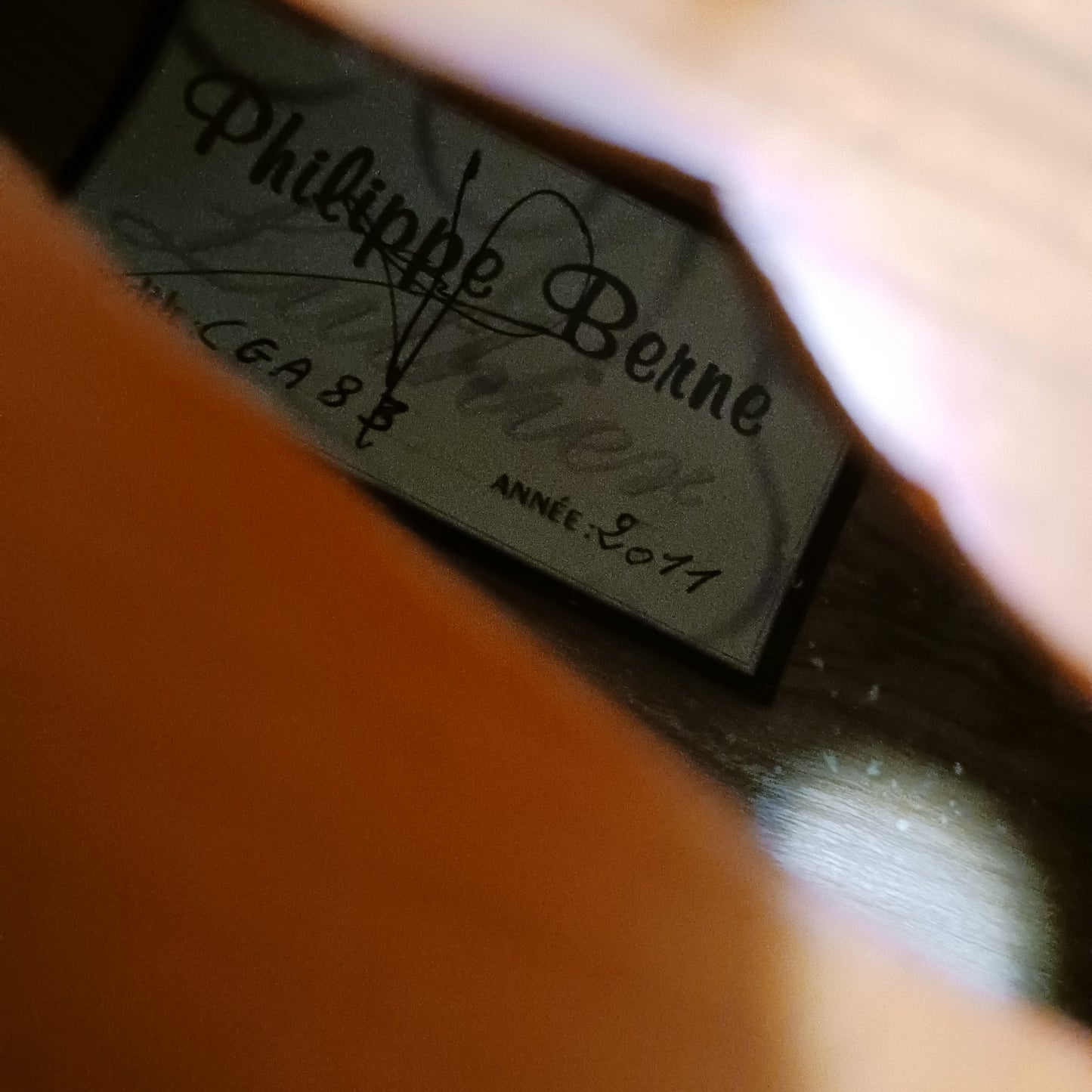 Handmade Guitarviol by Philippe Berne (PREOWNED)