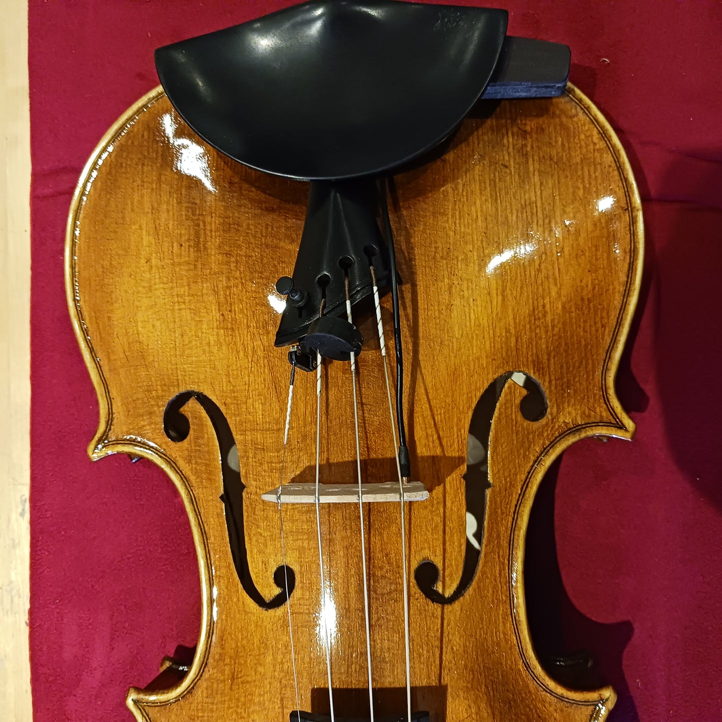 Tim Phillips Violins No. 499 and 500 - A Collector's Dream