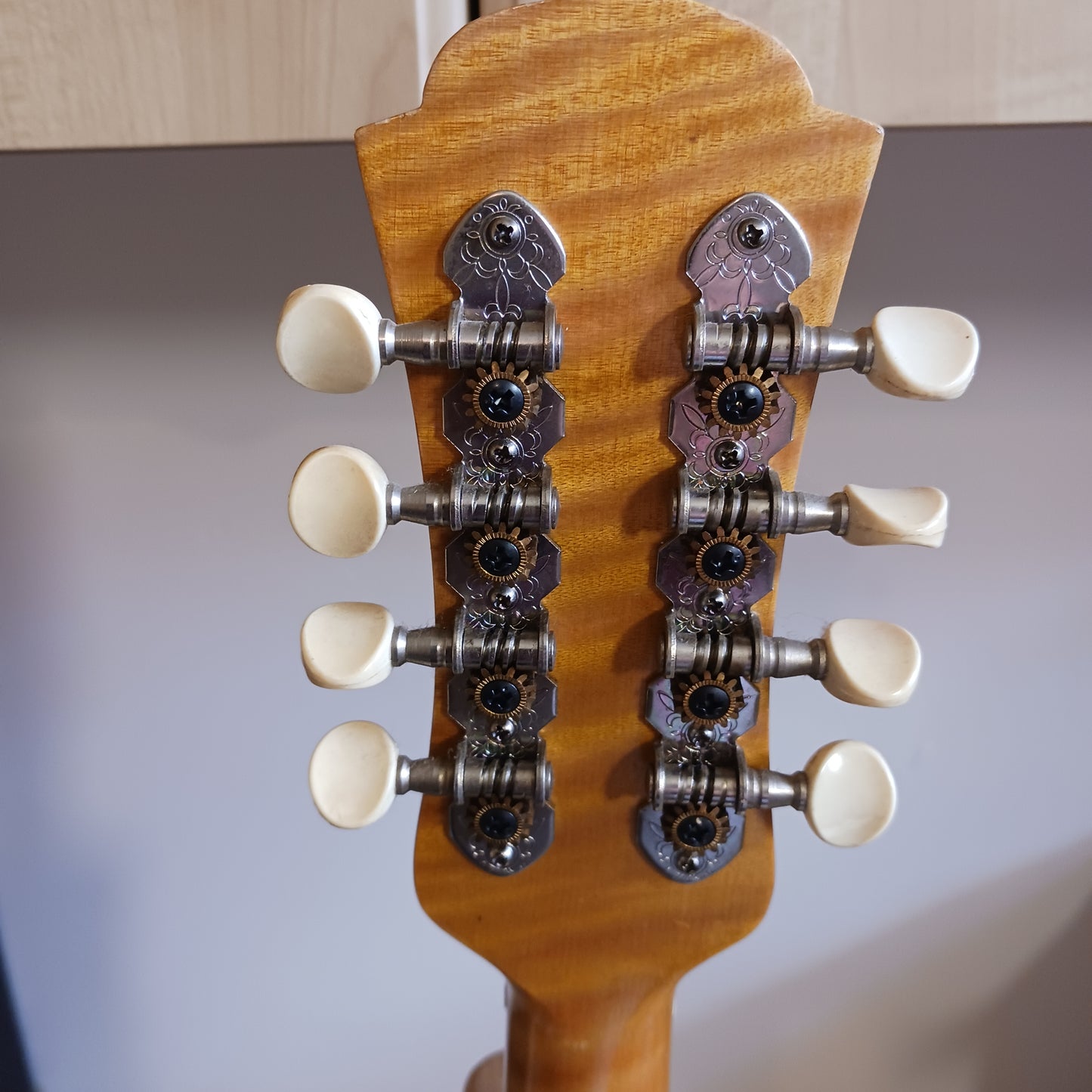 Resonator Mandolin by Vintage Guitars (PREOWNED)